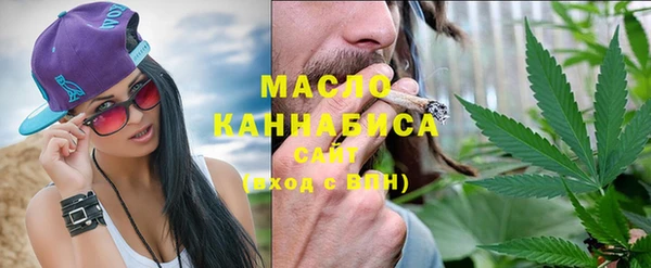 мдпв Вяземский